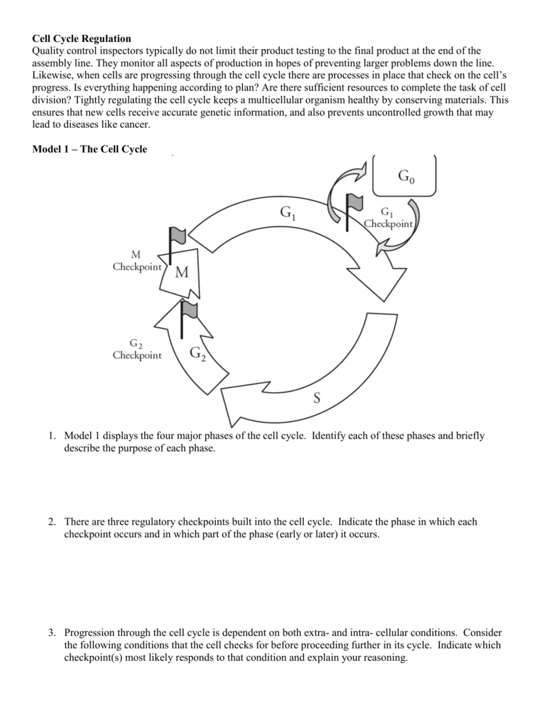 Pogil The Cell Cycle Answer Camera Exposure Sale