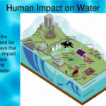 PPT The Water Cycle And How Humans Impact It PowerPoint Presentation