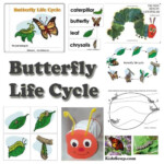 Preschool Butterfly And Caterpillar Activities Games And Lessons KidsSoup