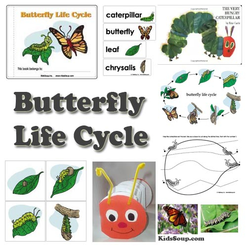 Preschool Butterfly And Caterpillar Activities Games And Lessons KidsSoup