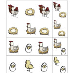Preschool Printables Chicken Life Cycle Printable Chicken Life Cycle