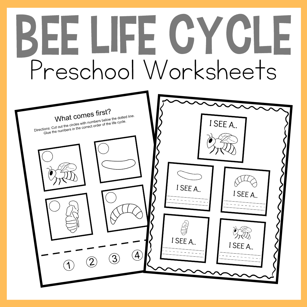 Printable Bee Life Cycle For Kids Worksheets