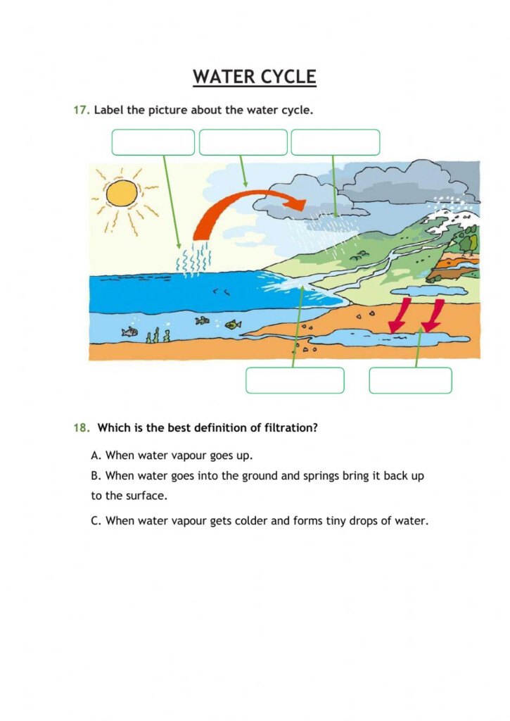 Printable Water Cycle Worksheet Pdf Printable Word Searches