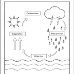 Printable Water Cycle Worksheets For Preschools