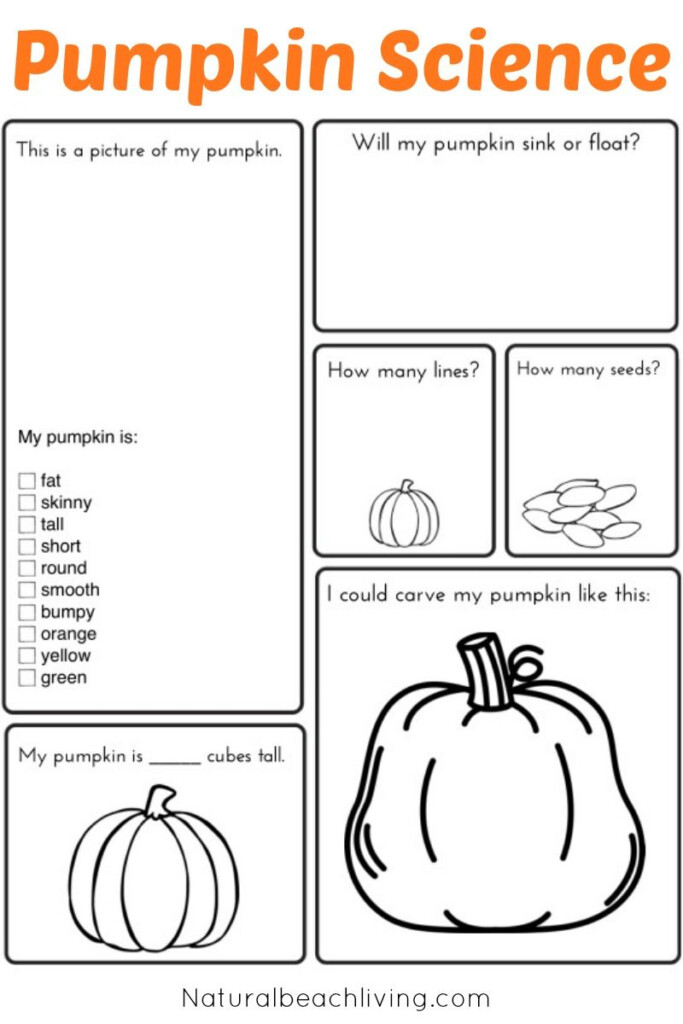 Pumpkin Activities For Kids Pumpkin Lesson Plans STEM Natural 