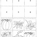 Pumpkin Life Cycle Sequencing Activity Fall Teaching Pinterest