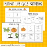 Pumpkin Life Cycle Worksheet Pdf Worksheets