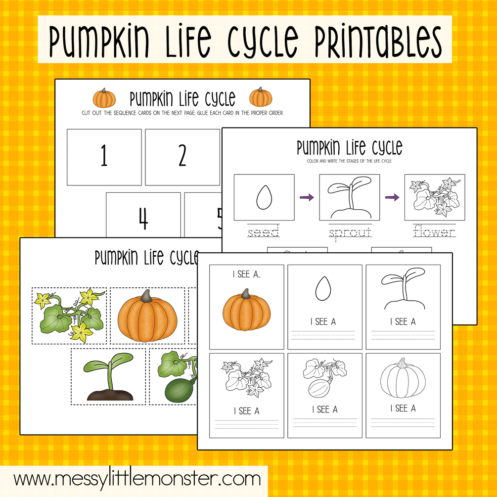 Pumpkin Life Cycle Worksheet Pdf Worksheets