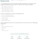 Quiz Worksheet Biogeochemical Cycling And The Phosphorus Cycle