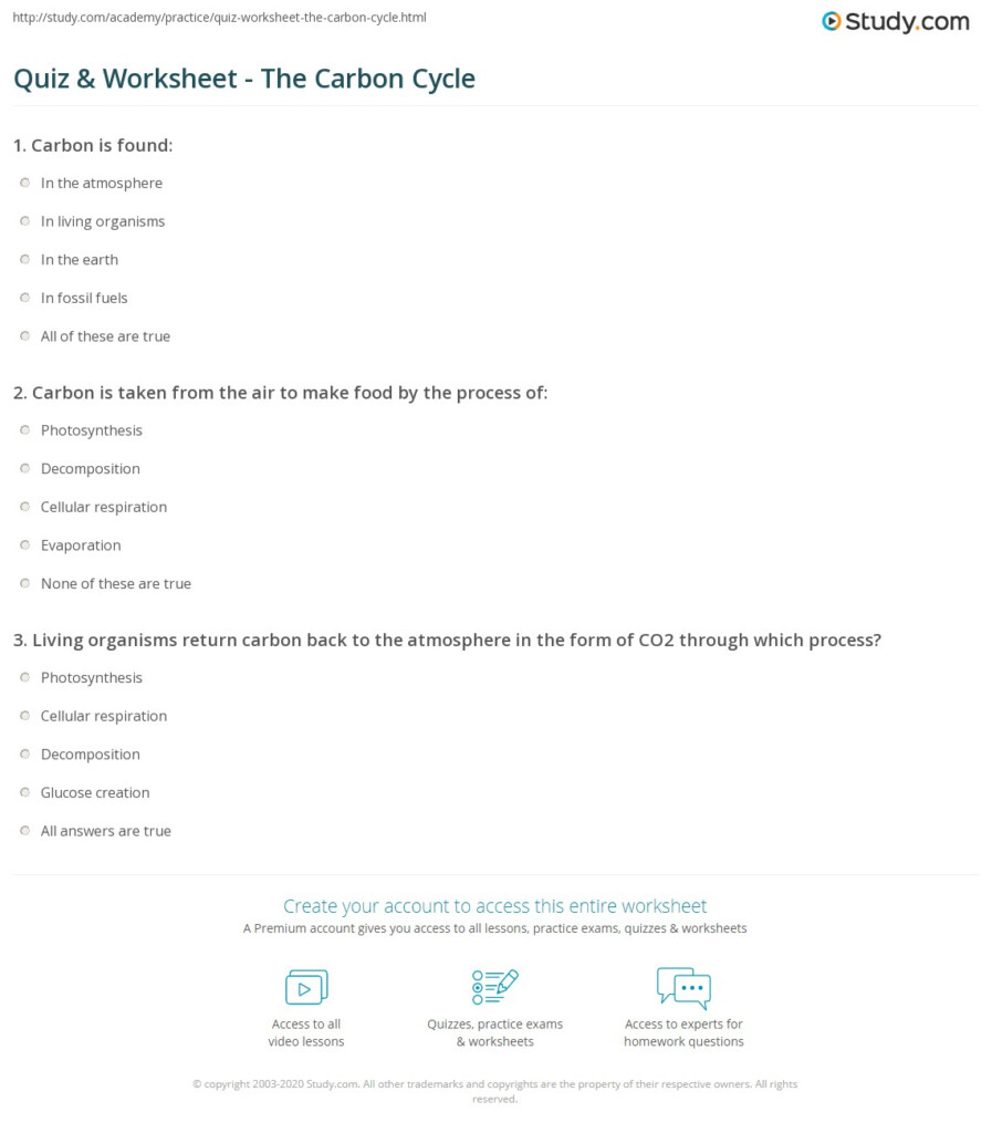 Quiz Worksheet The Carbon Cycle Study
