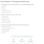 Quiz Worksheet The Nitrogen And Carbon Cycles Study