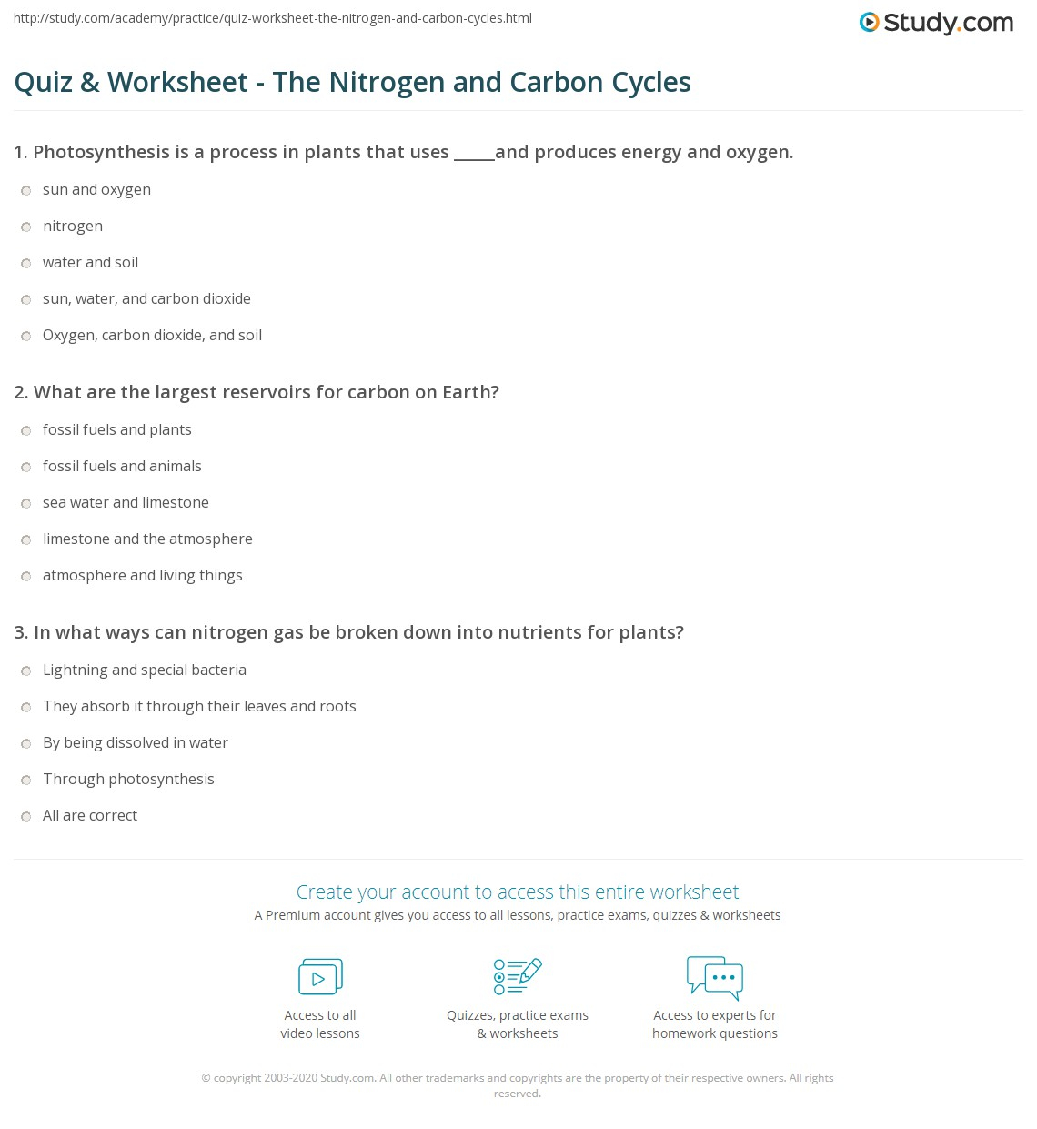 Quiz Worksheet The Nitrogen And Carbon Cycles Study