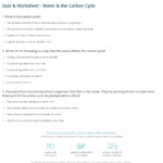 Quiz Worksheet Water The Carbon Cycle Study