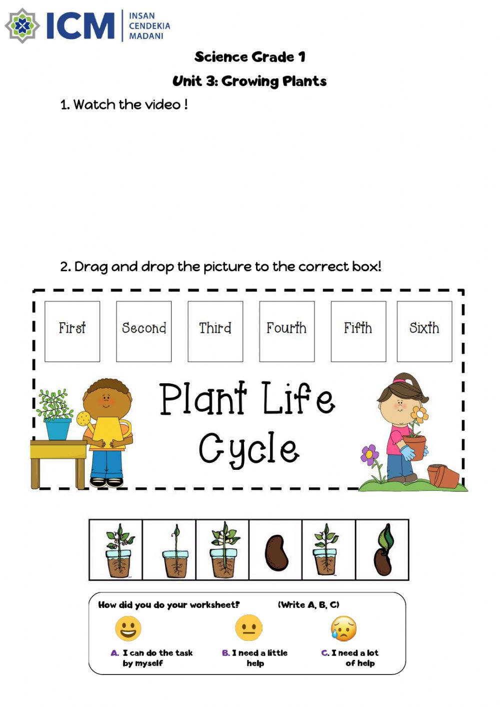 Science Plant Life Cycle Grade 1 Worksheet