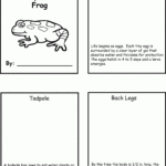 SDSC Education The Life Cycle Of The Frog Science Life Cycles Life