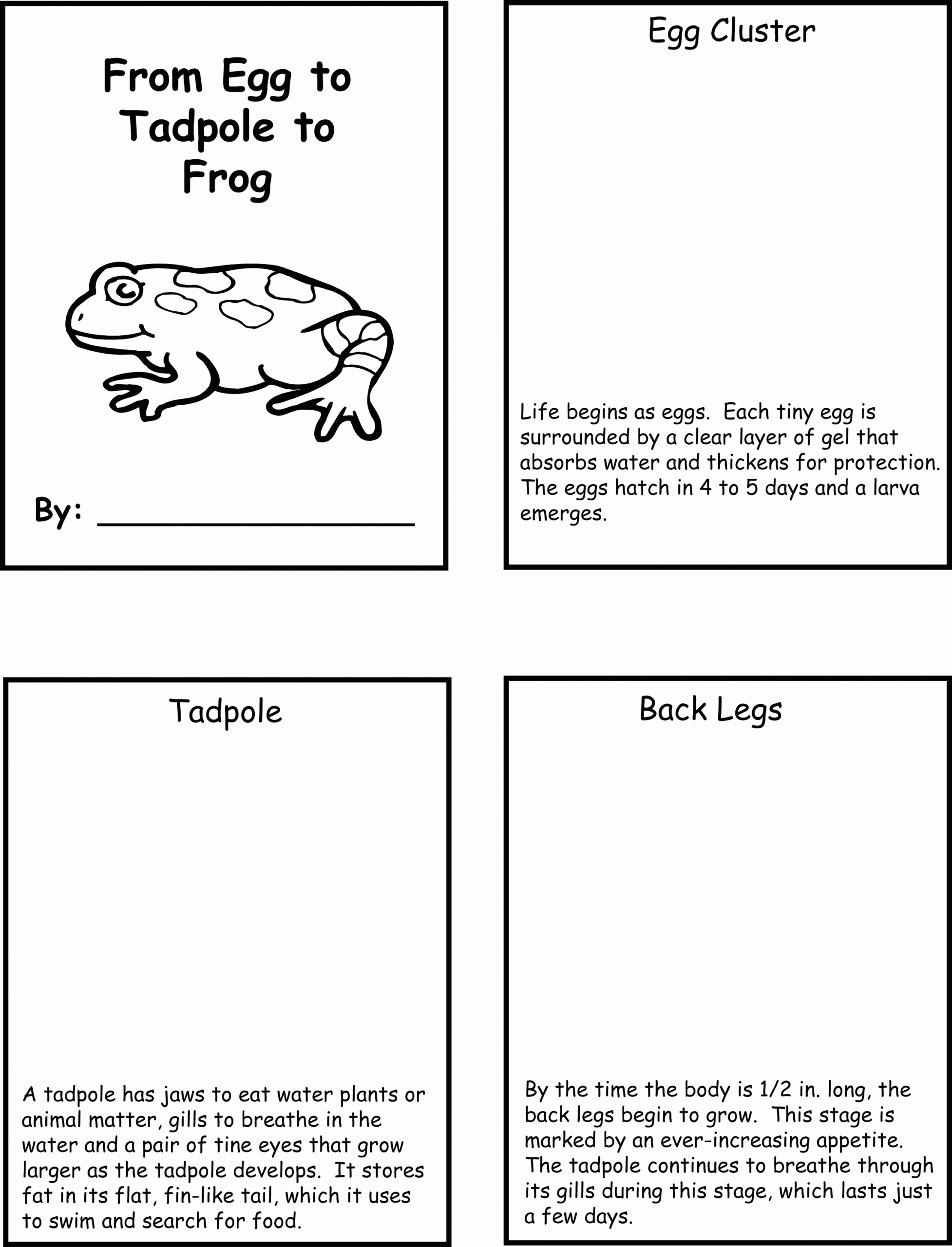 SDSC Education The Life Cycle Of The Frog Science Life Cycles Life 