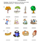 Seasonal Cycles Worksheet Have Fun Teaching