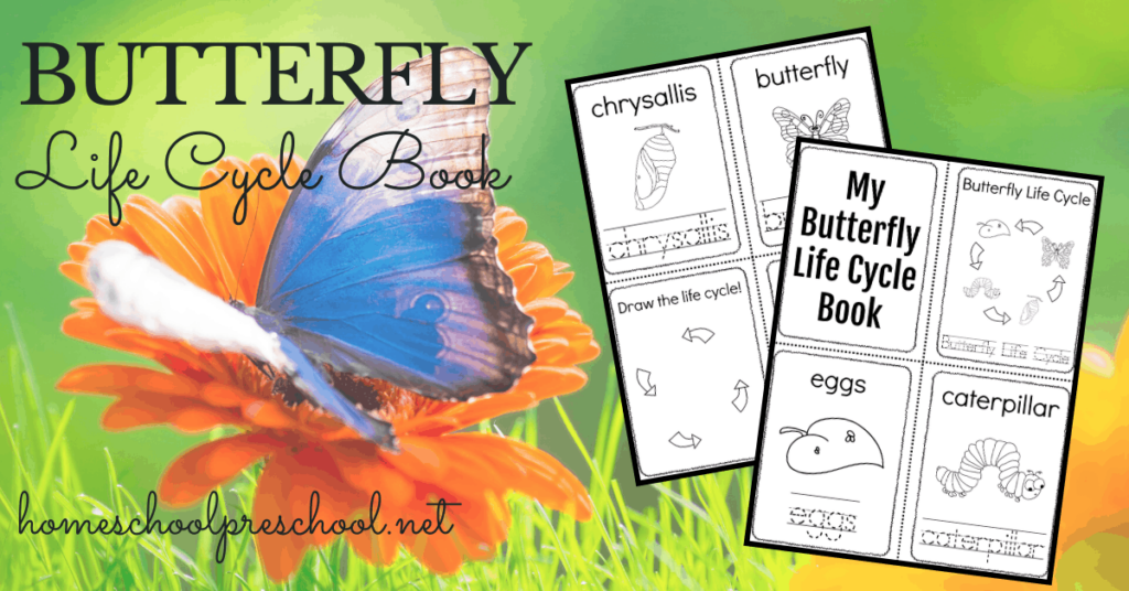 Simple Butterfly Life Cycle Printable Book For Preschoolers