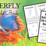 Simple Butterfly Life Cycle Printable Book For Preschoolers