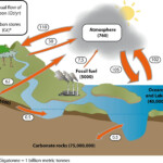 Soil Carbon Environment Land And Water Queensland Government