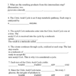 Solved KREB S CYCLE Worksheet 1 If Is Present The Two Chegg