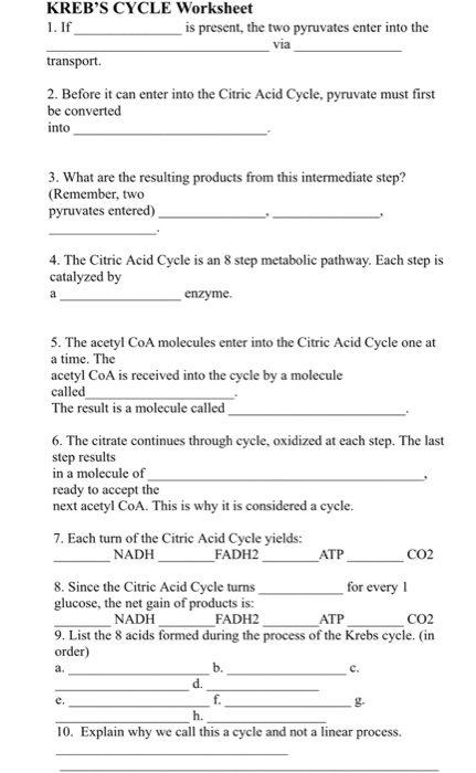 Solved KREB S CYCLE Worksheet 1 If Is Present The Two Chegg