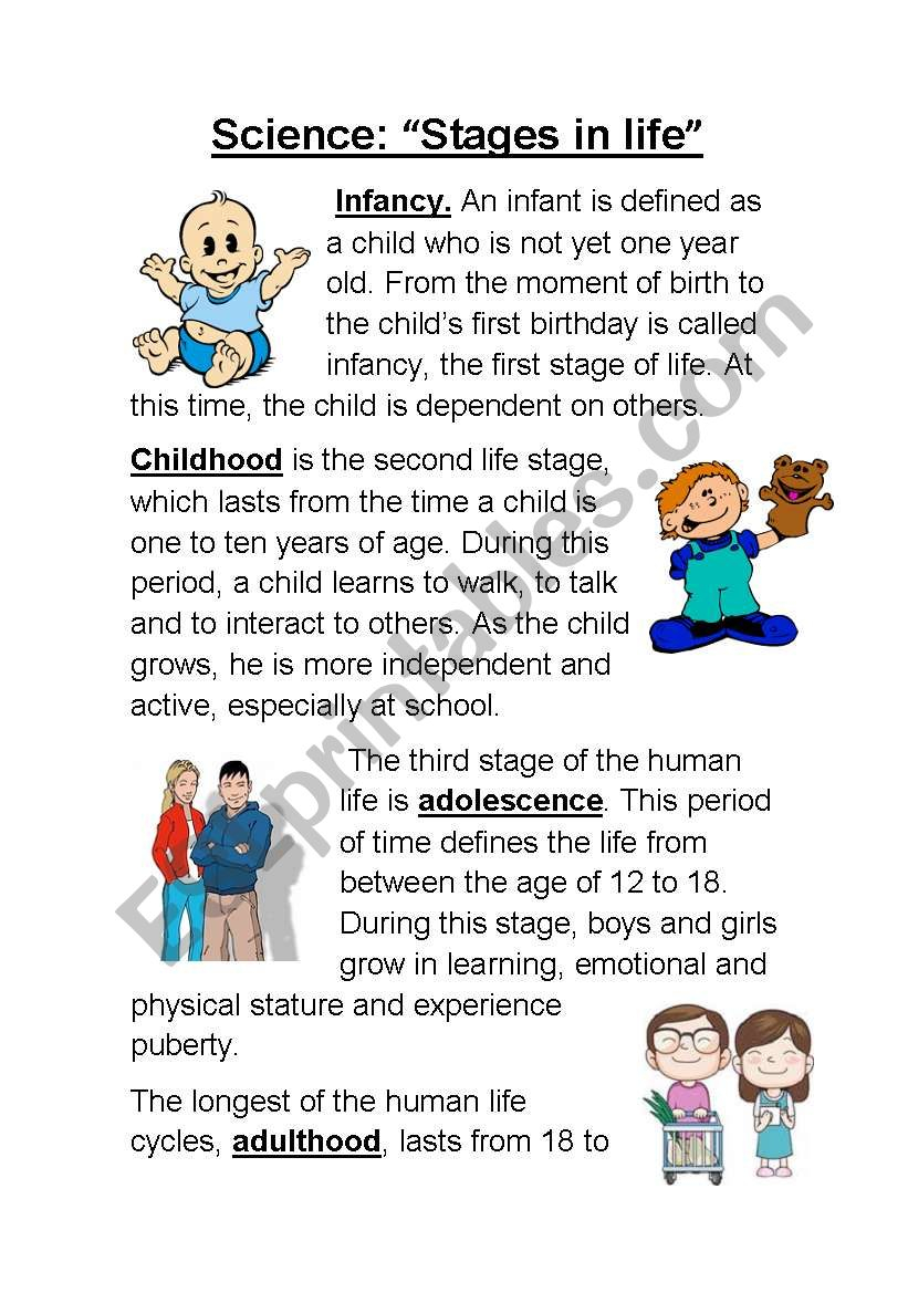 Stages In Life life Cycle Of Humans ESL Worksheet By Majess