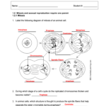 Sw Science 10 Mitosis Ws Fill Online Printable Fillable Blank