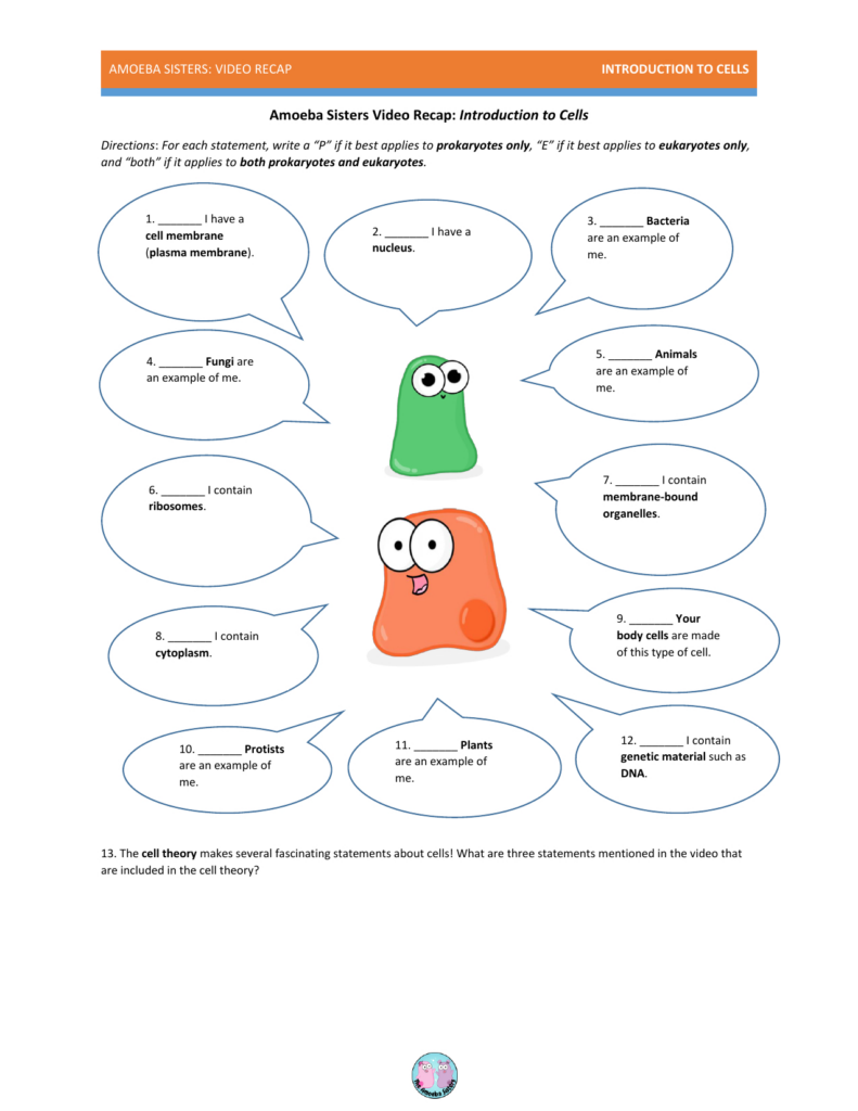 The Amoeba Sisters The Cell Cycle And Cancer Video Worksheet Db excel