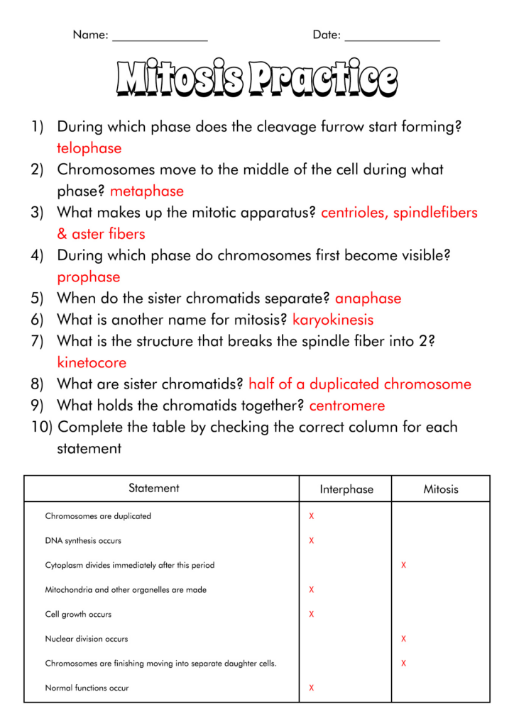 The Cell Cycle Mitosis Worksheet Answer Key Discover Our Best 