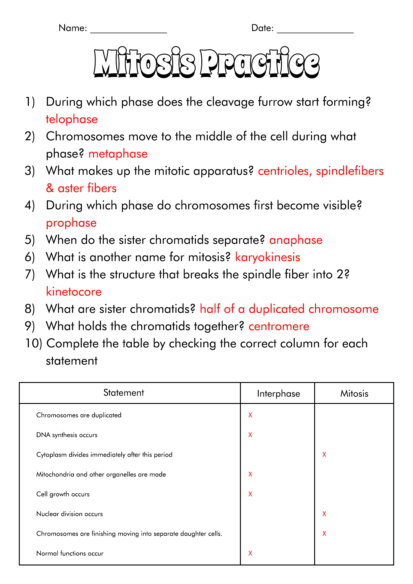 The Cell Cycle Mitosis Worksheet Answer Key Discover Our Best