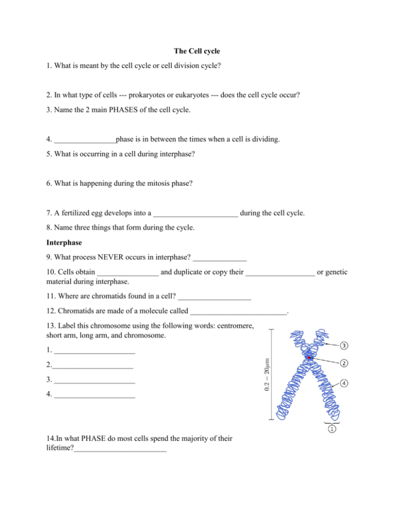 The Cell Cycle Reading Student Guide