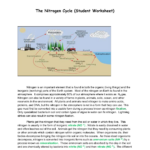 The Nitrogen Cycle Student Worksheet Free Download Gambr co