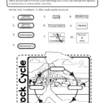 The Rock Cycle Worksheet