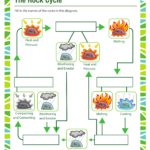 The Rock Cycle Worksheet