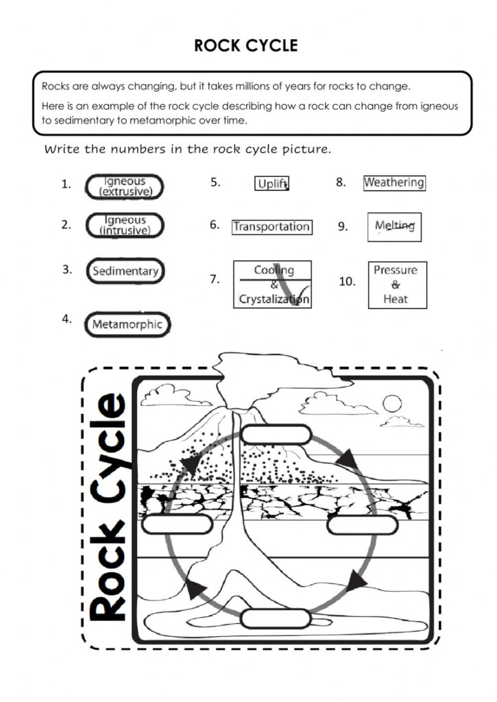 The Rock Cycle Worksheet