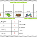 The Very Hungry Caterpillar Lifecycle Worksheet