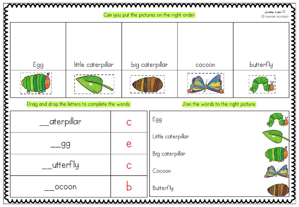 The Very Hungry Caterpillar Lifecycle Worksheet