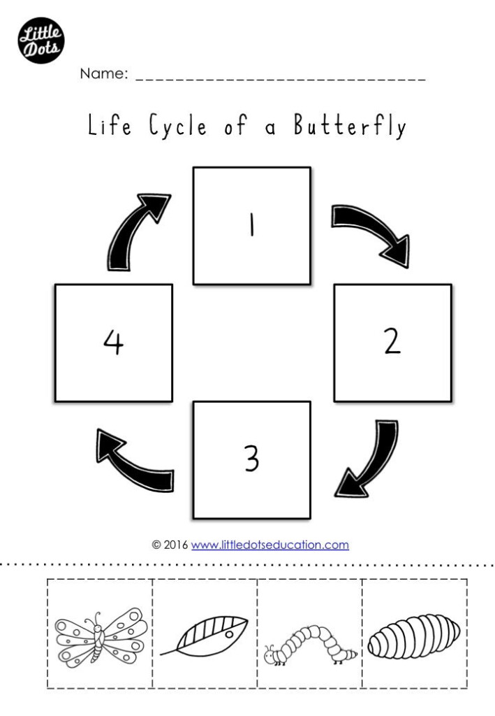 The Very Hungry Caterpillar Theme Free Life Cycle Of A Butterfly Prin Life Cycles Butterfly 