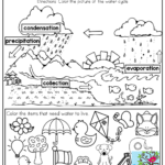 The Water Cycle And TONS Of Other Effective Teaching Resources