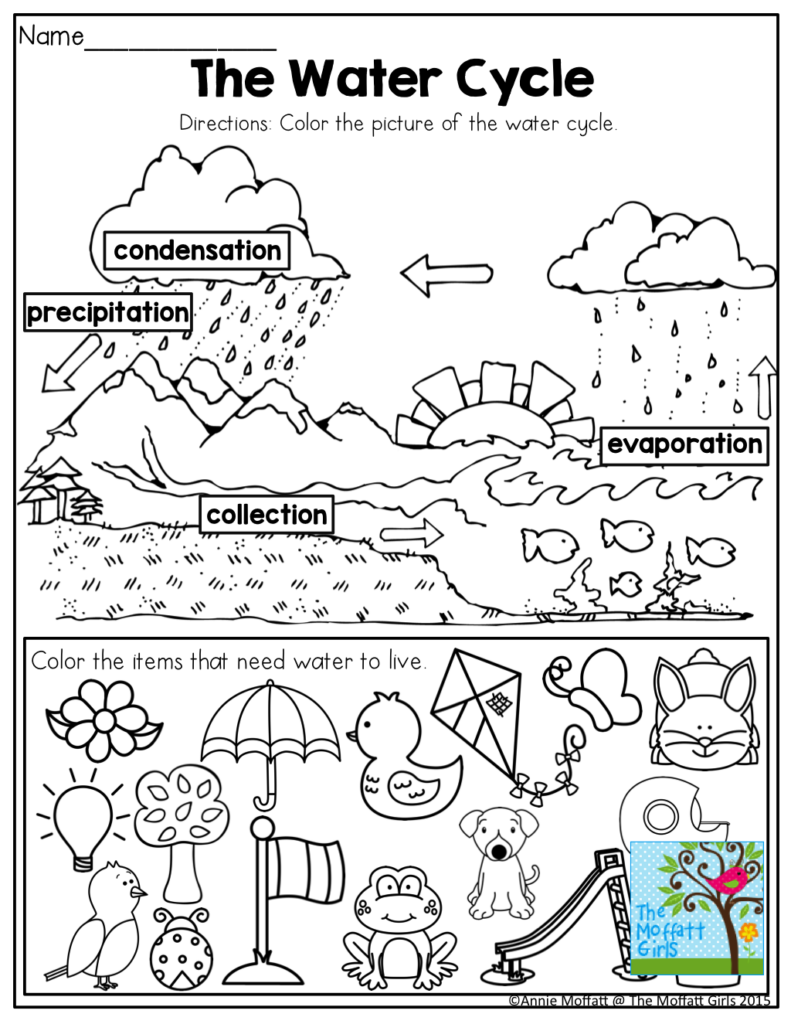 The Water Cycle And TONS Of Other Effective Teaching Resources 