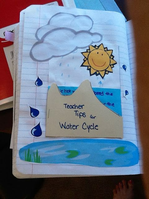 The Water Cycle In A Baggie With Interactive Notebook Ideas 