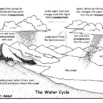 The Water Cycle Worksheet Worksheet24