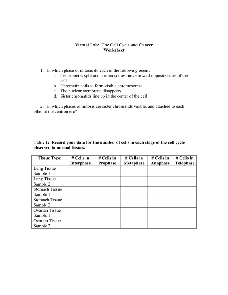 Virtual Lab The Cell Cycle And Cancer