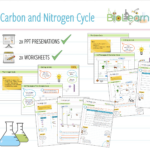 Water Carbon And Nitrogen Cycle Worksheet Db excel