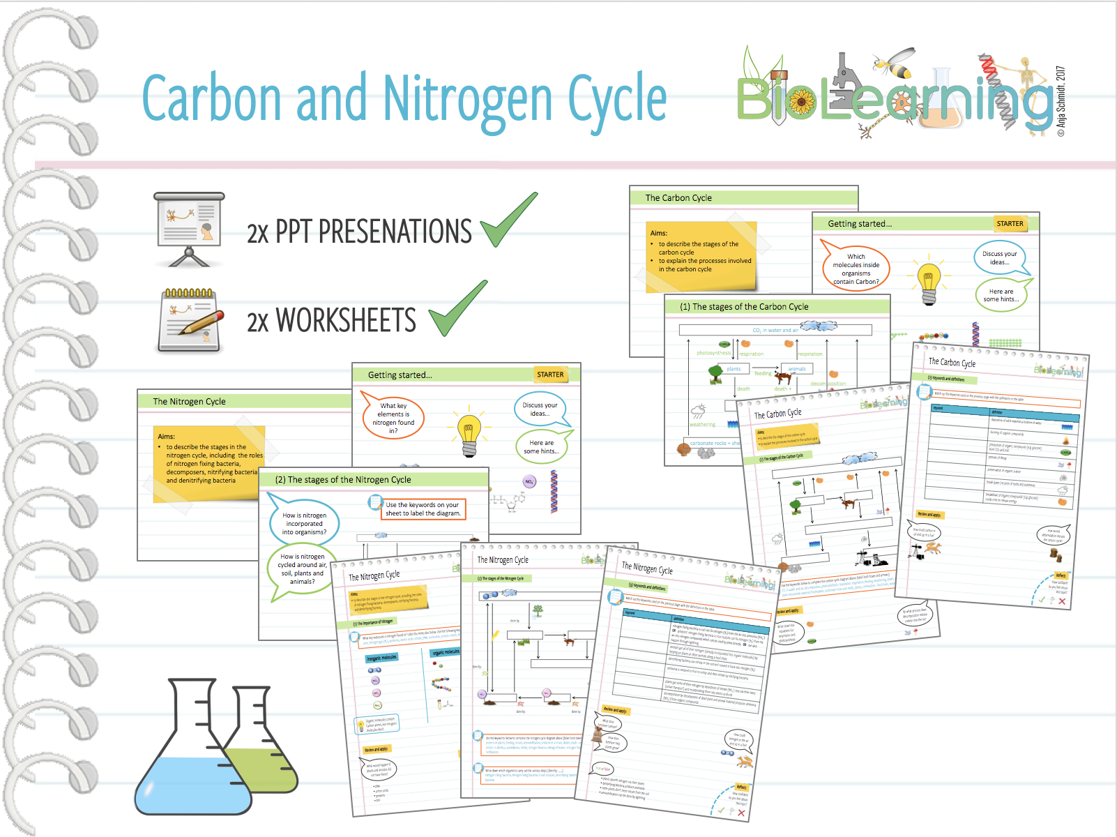 Water Carbon And Nitrogen Cycle Worksheet Db excel