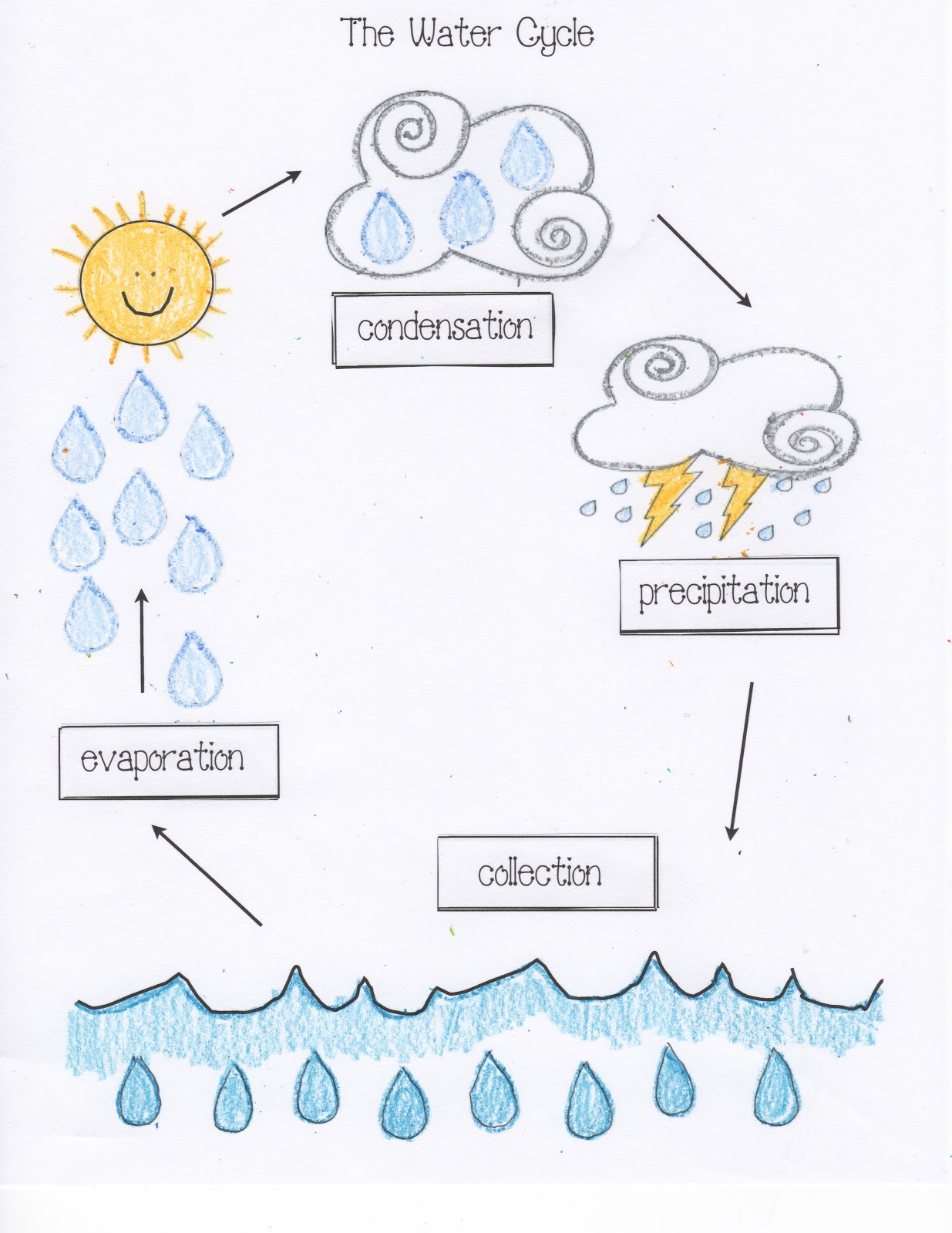 Water Cycle Activities Classroom Freebies