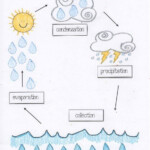 Water Cycle Covoji Learning