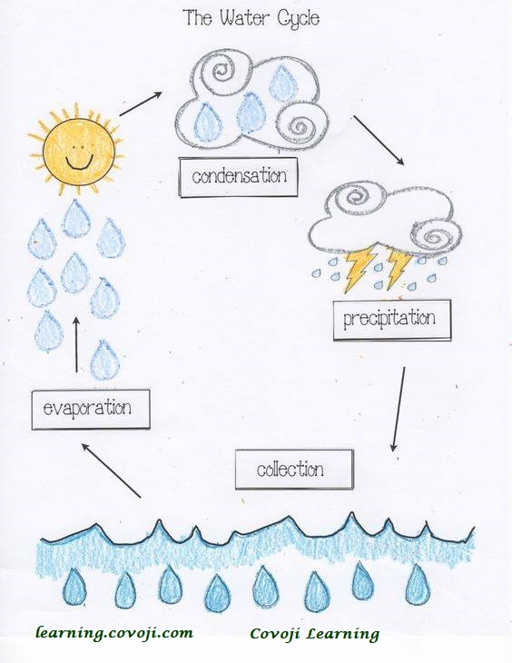 Water Cycle Covoji Learning