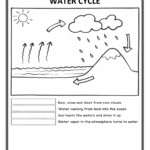 Water Cycle Cut And Paste Worksheet